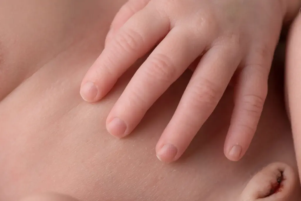 Detailfoto winzige Babyhände, Neugeborenenfotografie Eberdingen