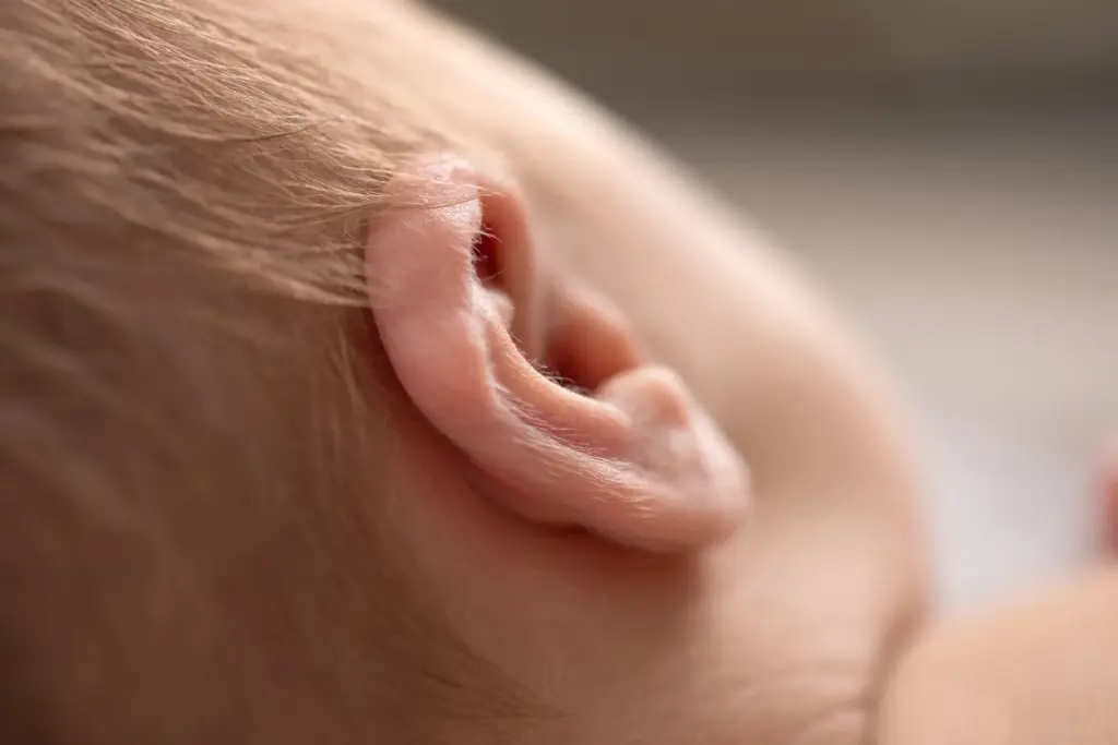 Nahaufnahme Babyohr, feine Detailfotografie Neugeborenes – Babyfotografin Ludwigsburg
